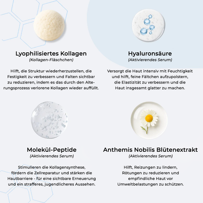 Gefriergetrocknetes Anti-Falten Nano-Seiden-Kollagen