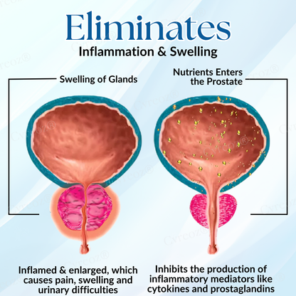 🔥The FDA-Approved Solution🌟 Official Store |🔥Hot Sale - 50% OFF🌿 Male Power Cordyceps Tablets - Already Helped 120,000+ Users Reclaim Their Confidencet✅